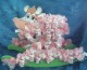 Thumbs/tn_vache bapteme 1 5 2009.jpg